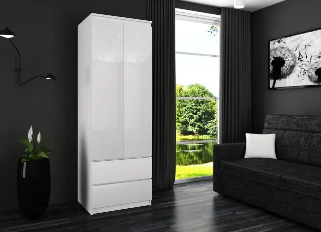 Skriňa STAR S 60 cm 2D 2SZ biela / biela lesk