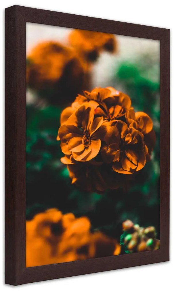 Gario Plagát Oranžové letné kvety Farba rámu: Čierna, Rozmery: 70 x 100 cm