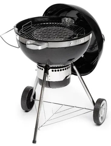 Fieldmann - Gril na drevené uhlie čierna/chróm