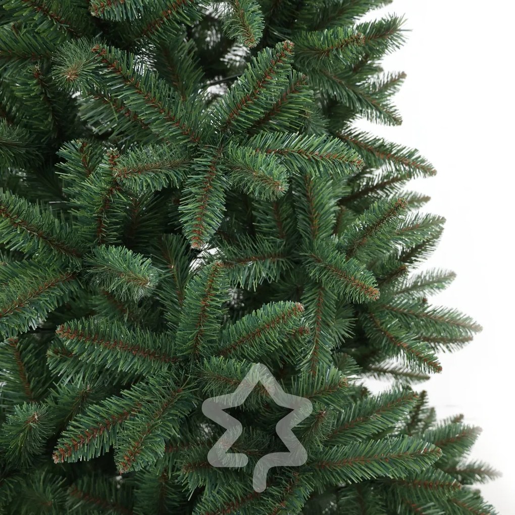 Smrek Kanadský 210 cm