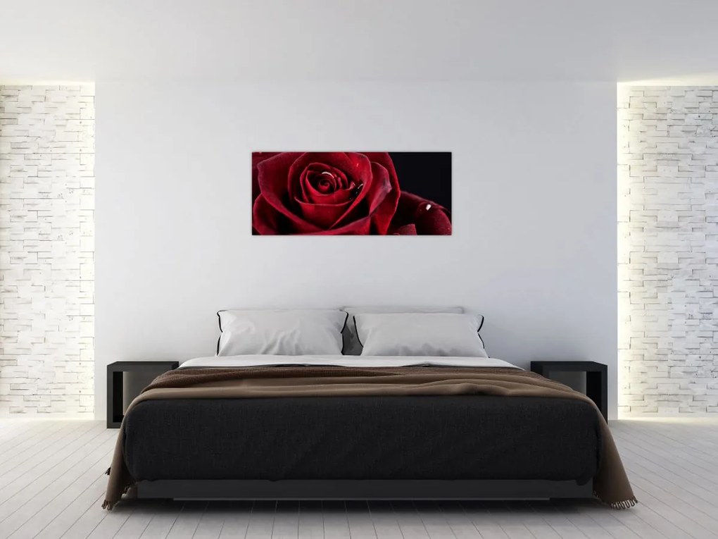 Obraz - Červená ruža (120x50 cm)