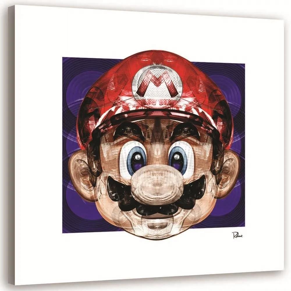 Gario Obraz na plátne Super Mario - Rubiant Rozmery: 30 x 30 cm
