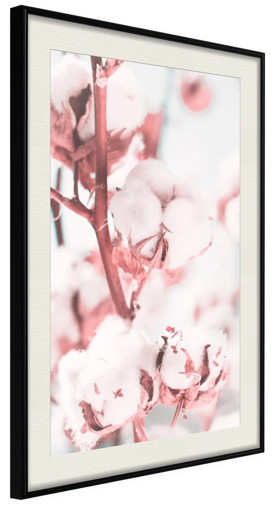 Artgeist Plagát - Blooming Cotton [Poster] Veľkosť: 20x30, Verzia: Zlatý rám