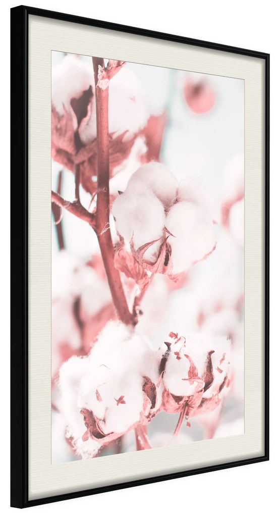 Artgeist Plagát - Blooming Cotton [Poster] Veľkosť: 30x45, Verzia: Zlatý rám s passe-partout