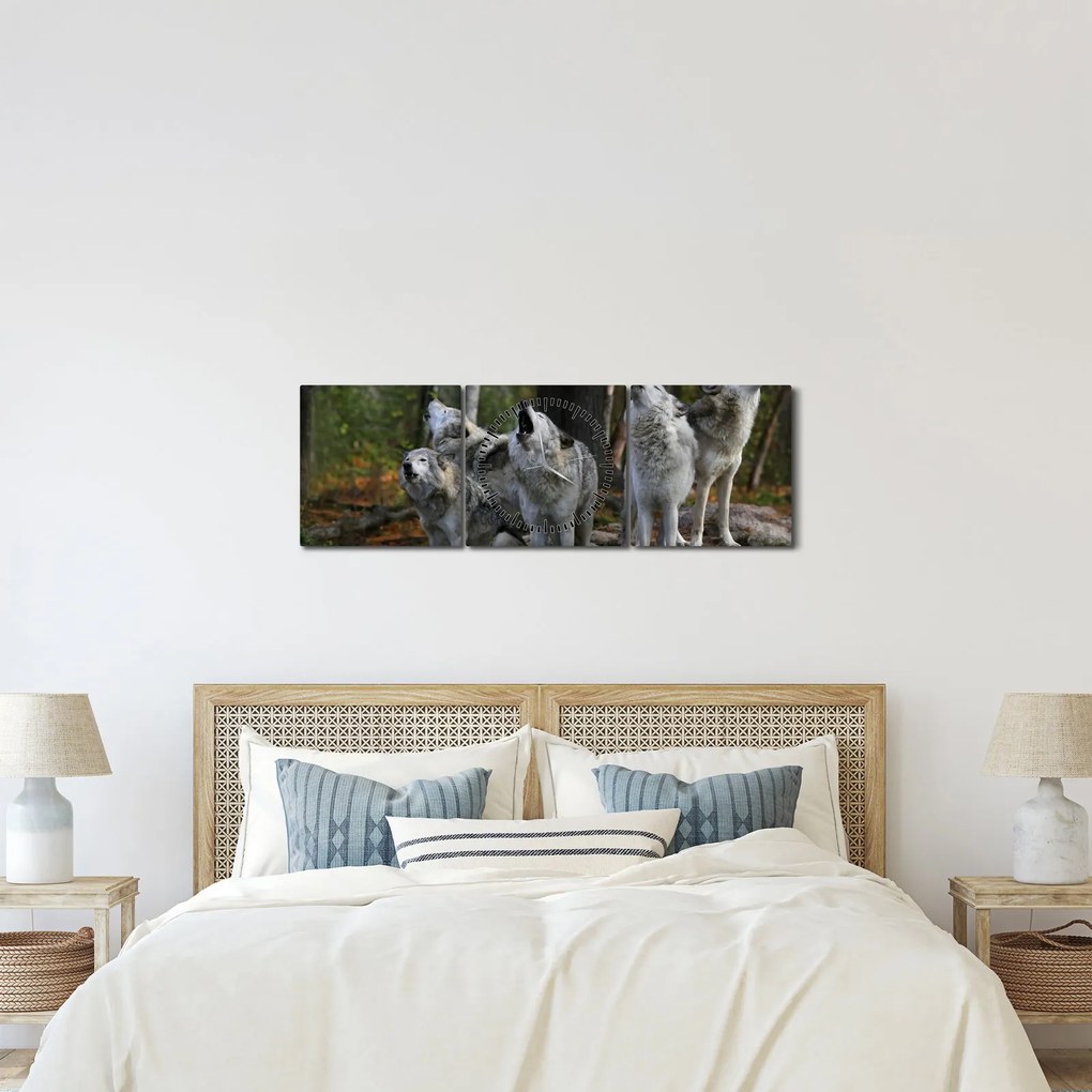 Obraz - Vlci na skale (s hodinami) (90x30 cm)