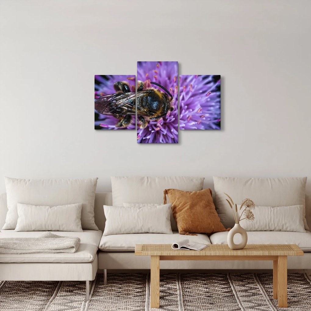 Obraz včely na kvetine (90x60 cm)