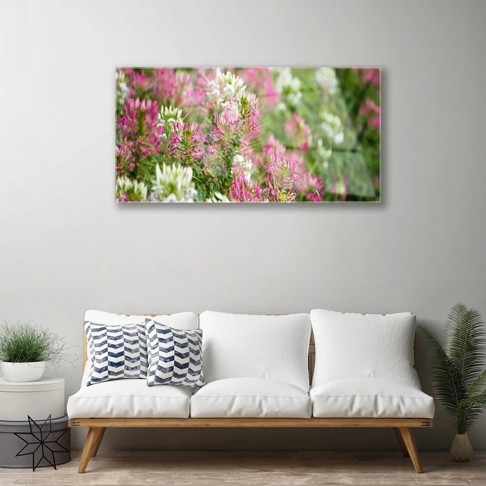 Skleneny obraz Poľné kvety lúka príroda 100x50 cm
