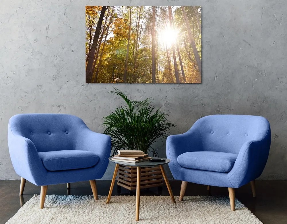 Obraz les v jesenných farbách - 90x60