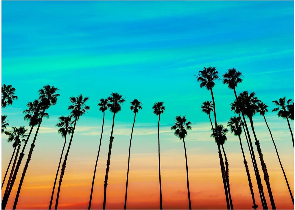 Sklenený obraz - Kalifornia (70x50 cm)