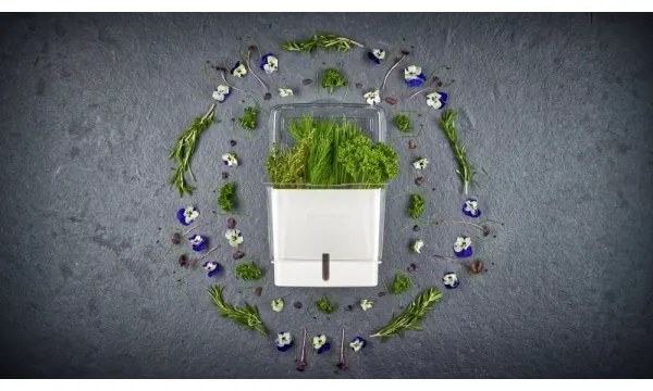 Cole&Mason - Nádoba na uchovanie rezaných byliniek