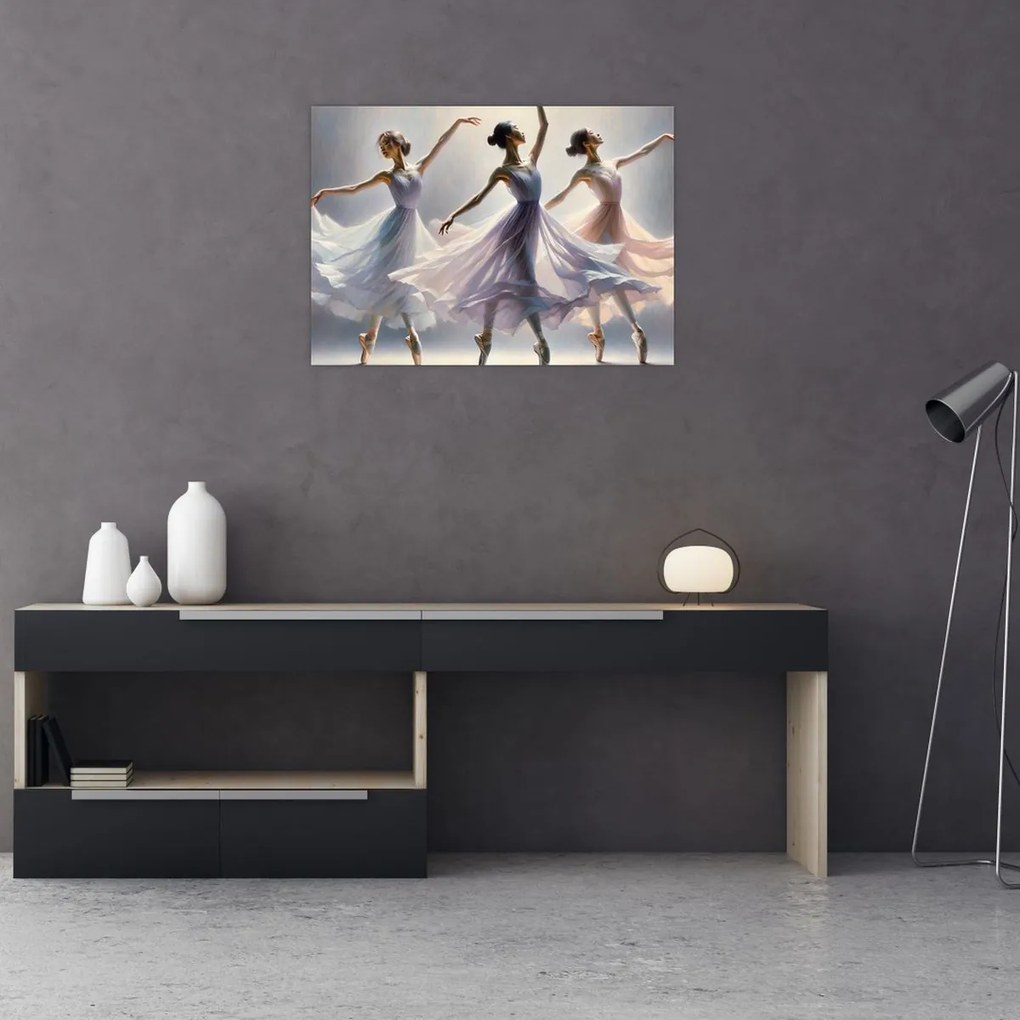 Obraz - Tri baletky (70x50 cm)