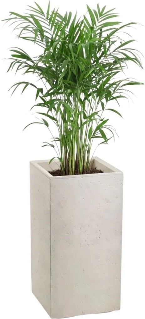 Sada 2 ks kvetináčov BETONIQUE 30x30/30x60 cm - výber z 4 prevedení