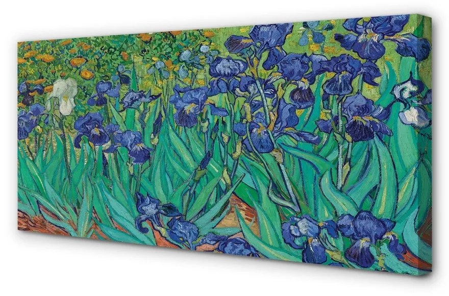 Obraz canvas Umenie kvety dúhovky 140x70 cm