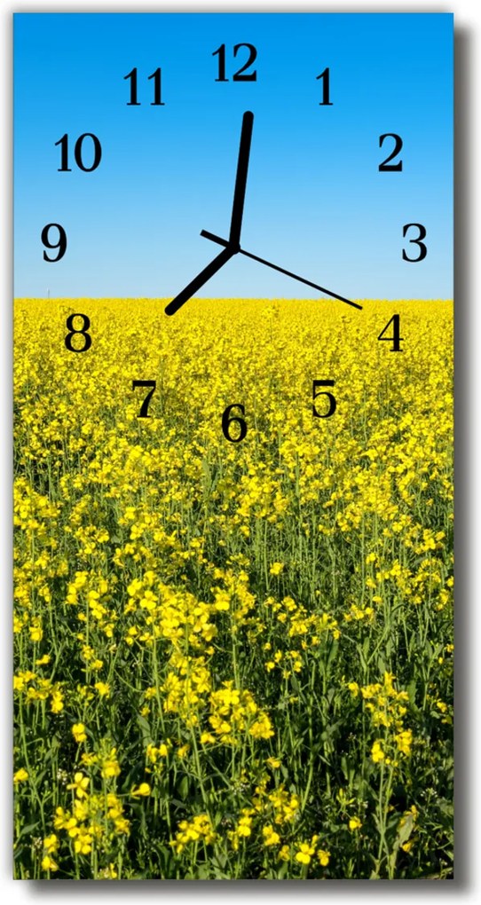 Sklenené hodiny vertikálne  Príroda Pole žlté repky