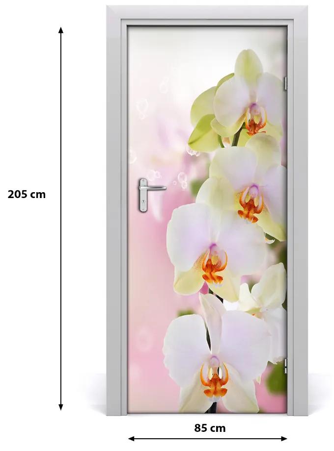 Samolepiace fototapety na dvere biela orchidea 85x205 cm
