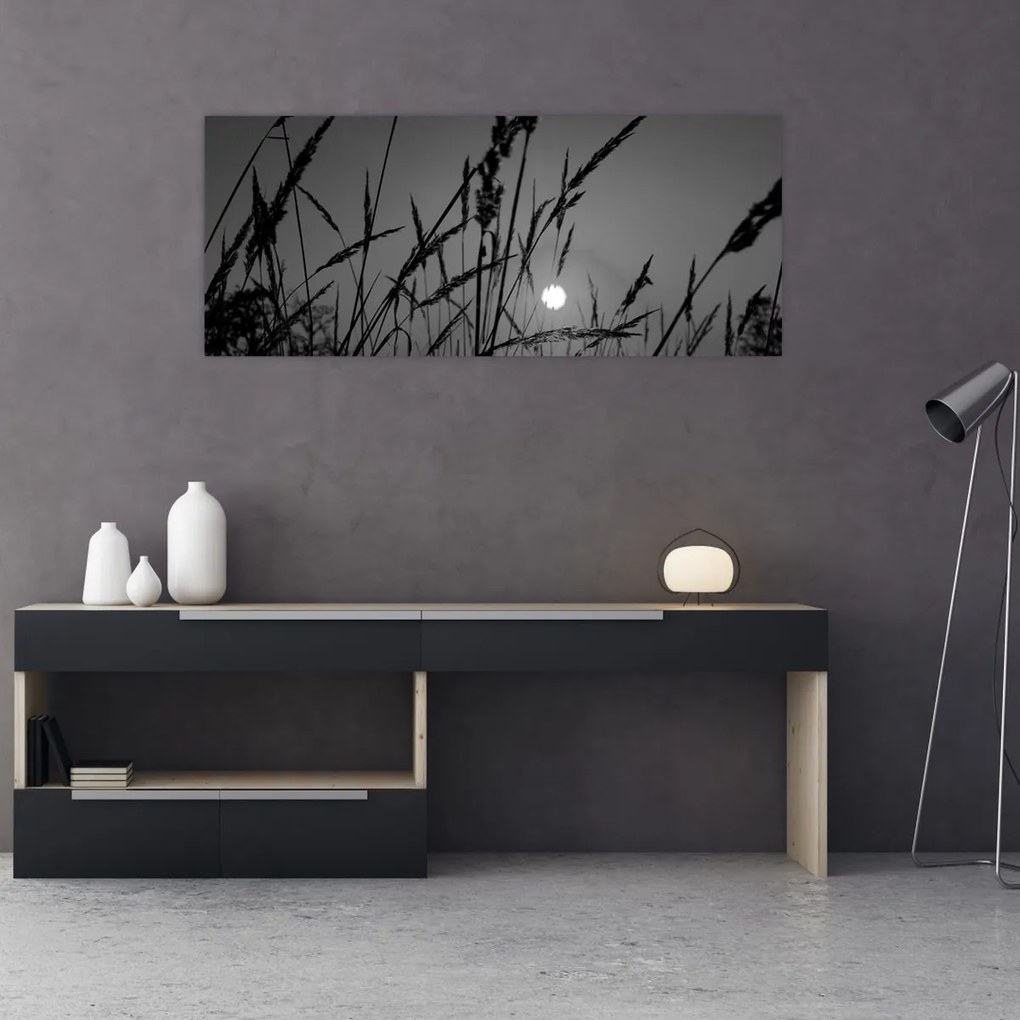 Obraz - Lúka so západom slnka (120x50 cm)