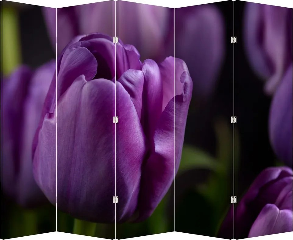 Paraván - Kvet tulipánov (210x170 cm)