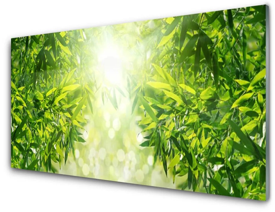 Nástenný panel  Listy príroda rastlina 140x70cm