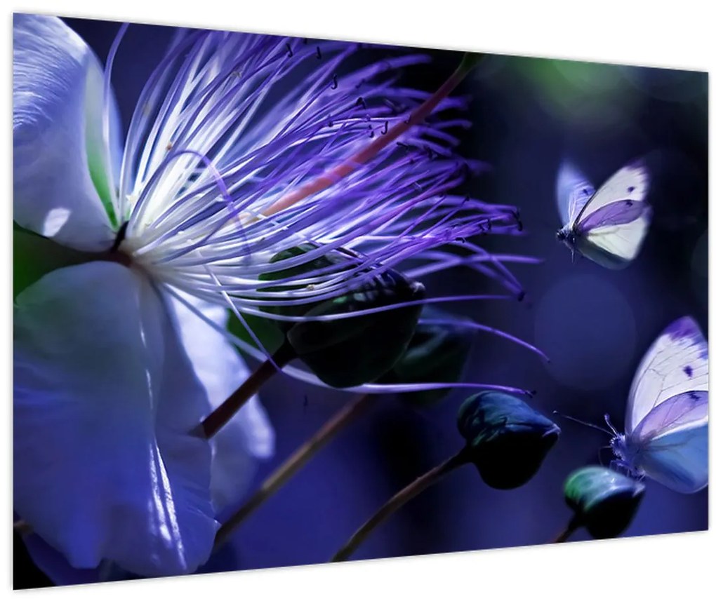 Obraz - Tropický kvet (90x60 cm)