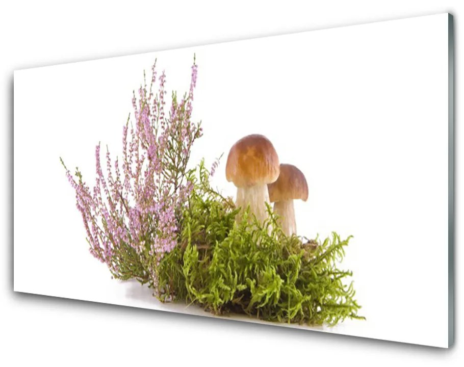 Skleneny obraz Huby rastlina príroda 100x50 cm