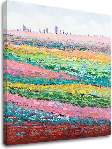 Obraz na plátne KRAJINA 1 dielny XOBCHLN002