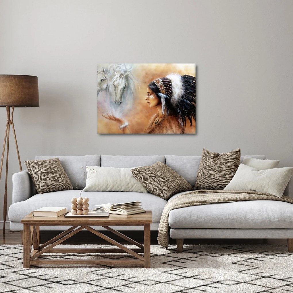 Obraz - Kúzla indiánov (70x50 cm)