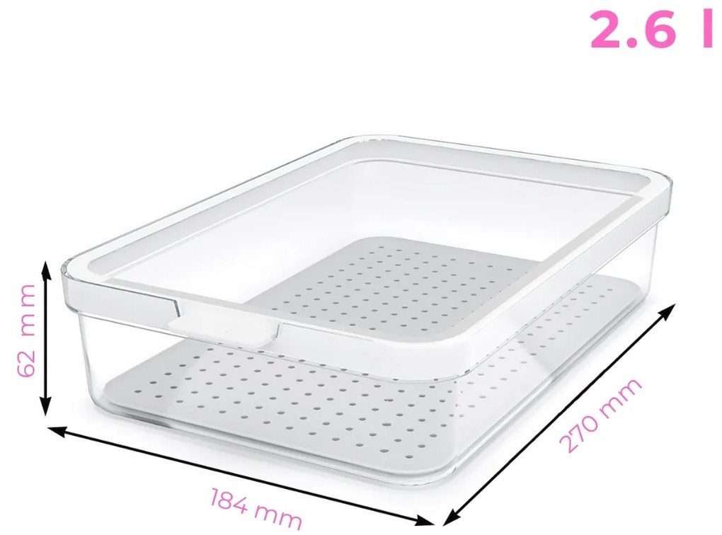 Rotho Organizér do lednice, s víkem a speciální podložkou 2,6l CAUMA