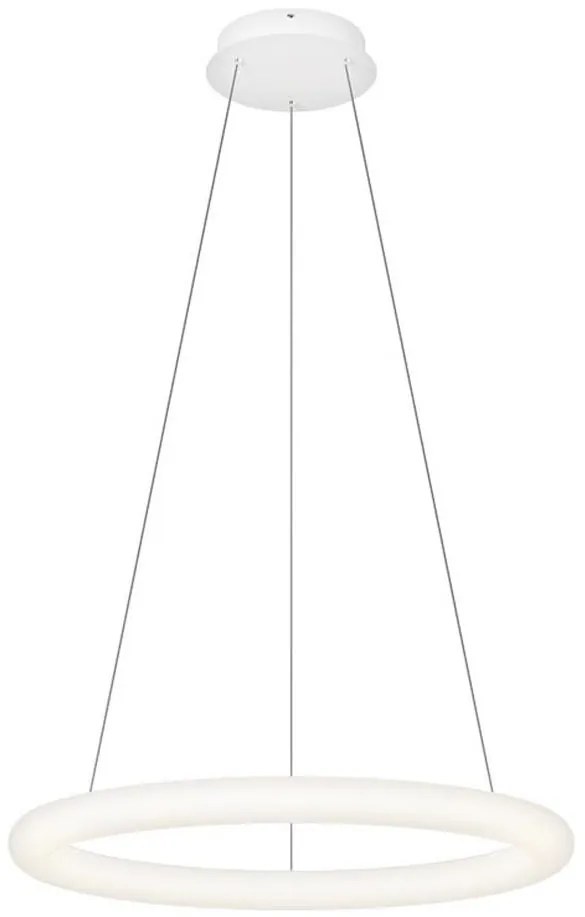 Top Light - LED stmievateľný závesný luster na lanku RINGO LED/40W/230V 3000-6500K biela + diaľkové ovládanie