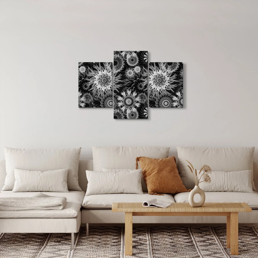 Obraz - Čiernobiele bodliaky (90x60 cm)