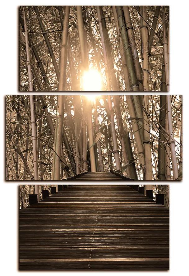 Obraz na plátne - Drevená promenáda v bambusovom lese - obdĺžnik 7172FC (105x70 cm)