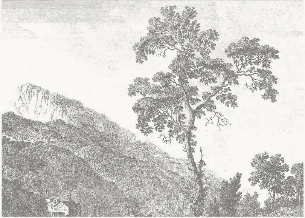 Vliesová tapeta Engraved Landscapes I