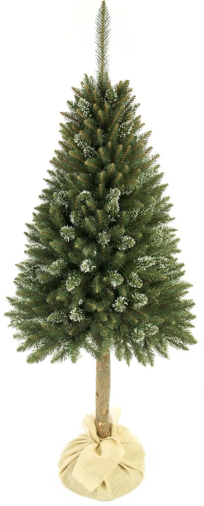 Vianočný stromček Smrek ľadový na pníku 160 cm