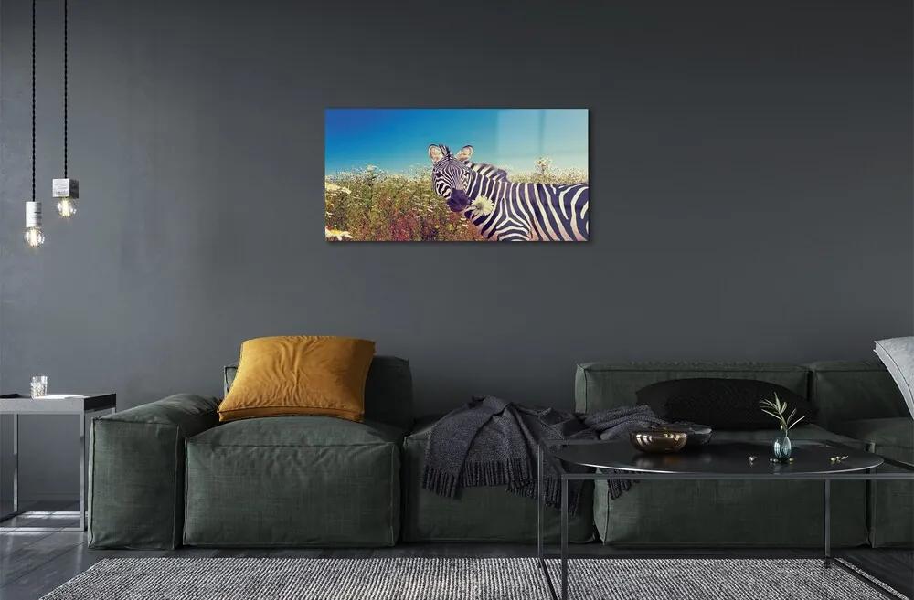 Sklenený obraz zebra kvety 120x60 cm