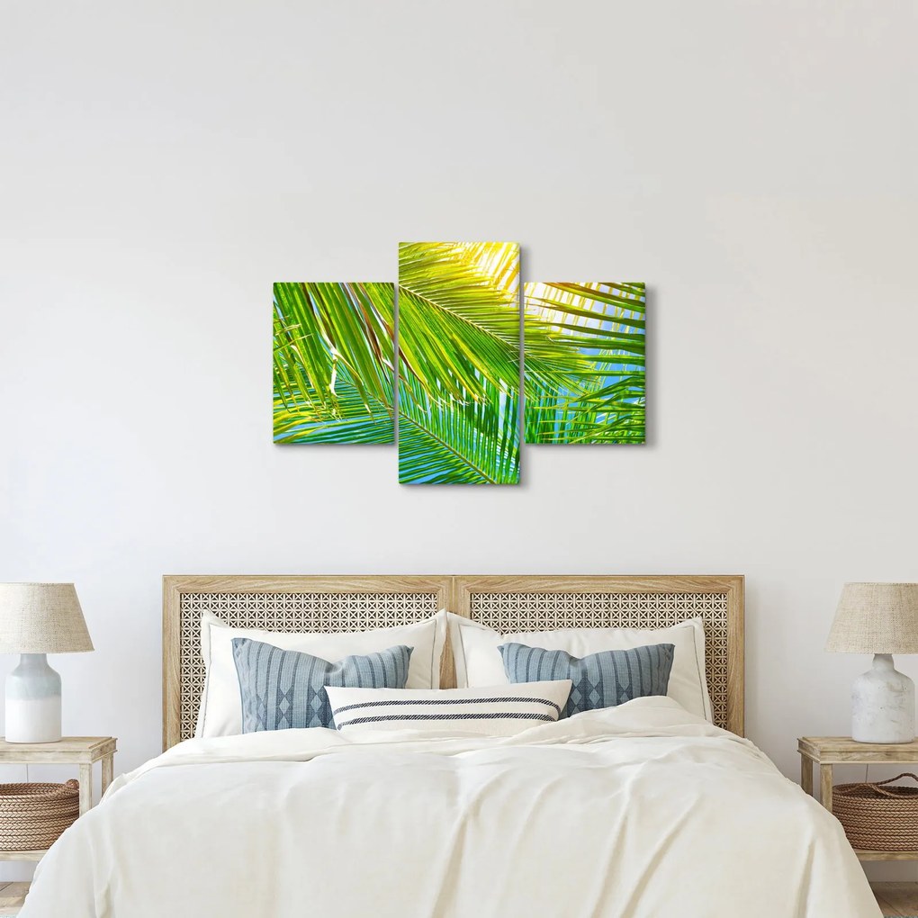 Obraz - Palmové listy (90x60 cm)