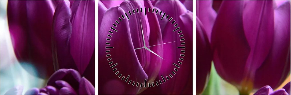 Obraz tulipánov (s hodinami) (90x30 cm)