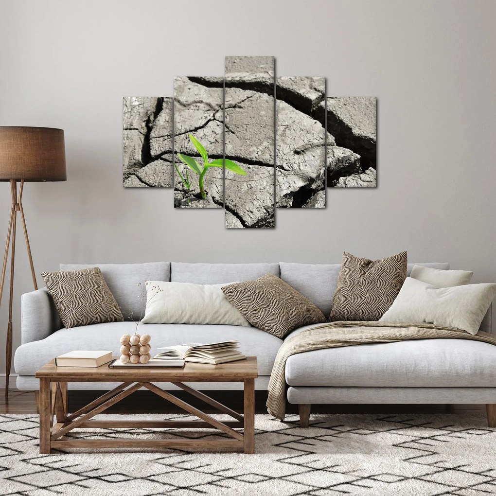 Obraz - Praskliny (150x105 cm)