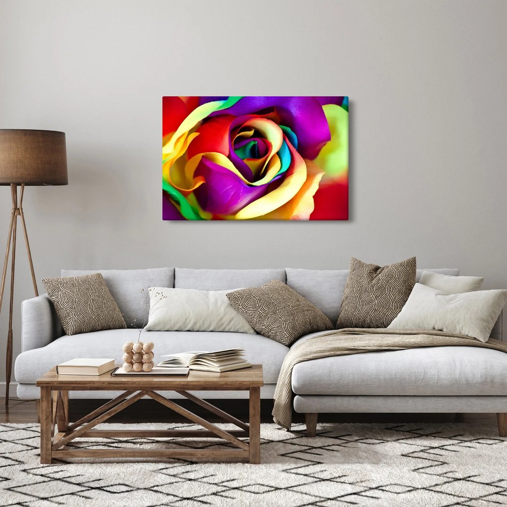 Obraz - Farebná ruža (90x60 cm)