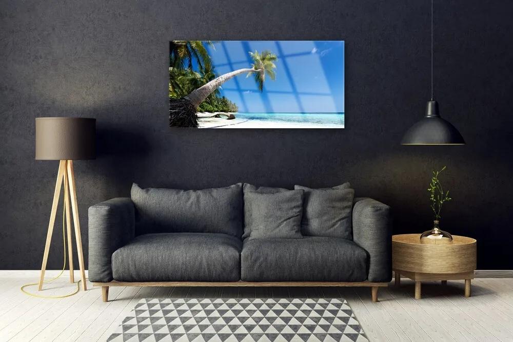 Skleneny obraz Pláž palma more krajina 100x50 cm