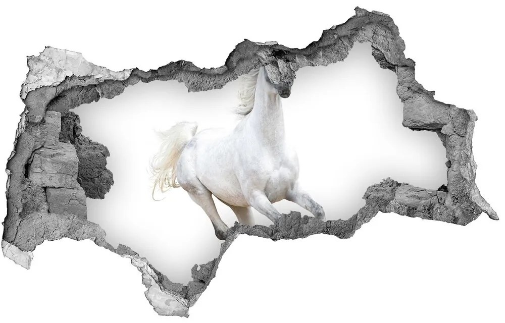 Fototapeta diera na stenu Biela arabský kôň nd-b-99028092