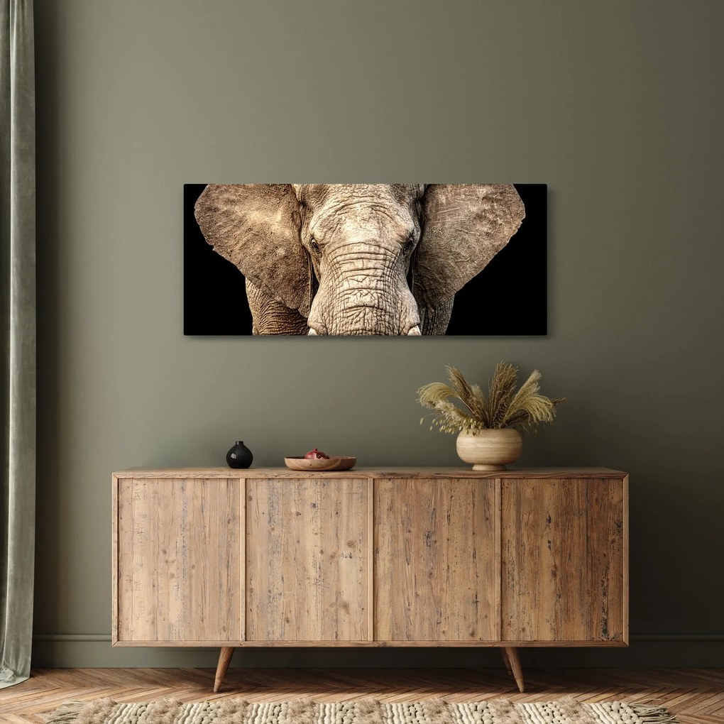 Obraz - Slon africký (120x50 cm)