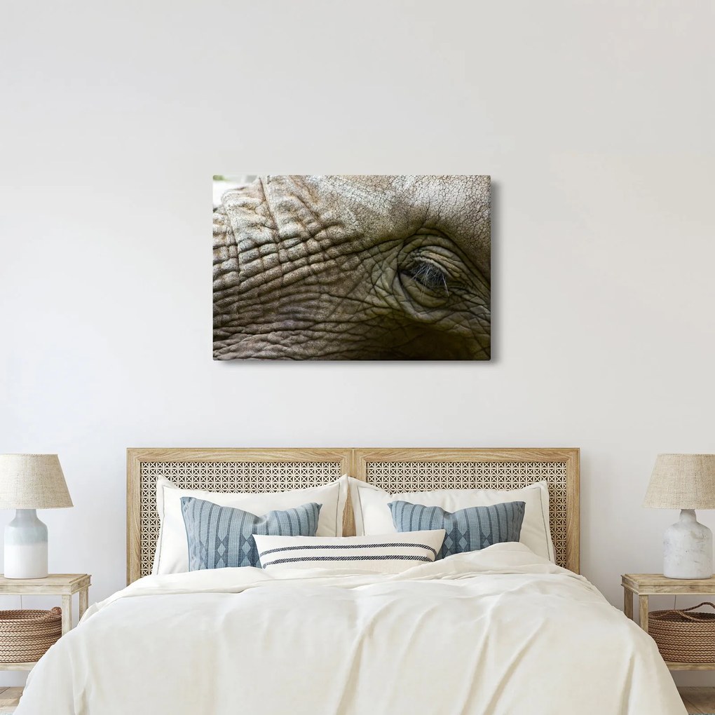 Obraz - Detailné fotografie starého slonieho oka (90x60 cm)