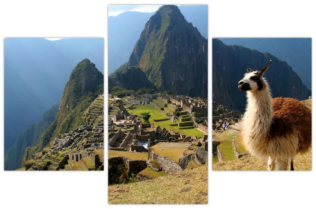 Obrázok - Lama a Machu Picchu (90x60 cm)