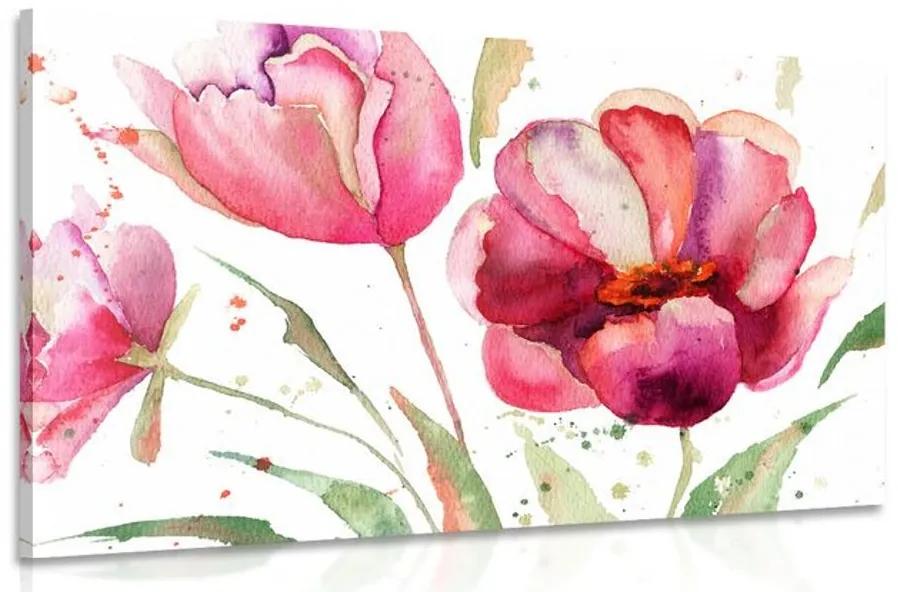 Obraz nádherné tulipány v zaujímavom prevedení Varianta: 120x80