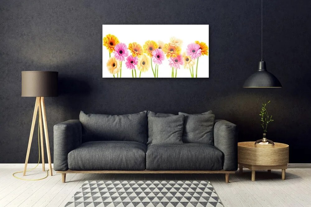 Obraz plexi Farebné kvety gerbery 100x50 cm