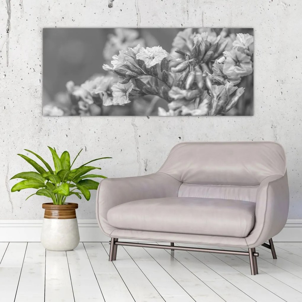 Obraz - Sušené kvety (120x50 cm)