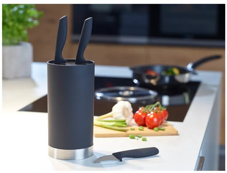 Echtwerk Súprava kuchynských nožov, 4-dielna (strieborná matná) (100343363)