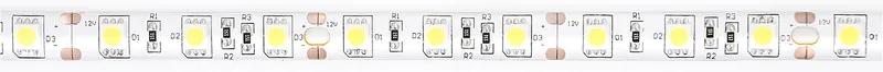 ECOLIGHT LED pásik - 5050 - 12V - 5m - 72W - 300 diód - IP63 - studená biela