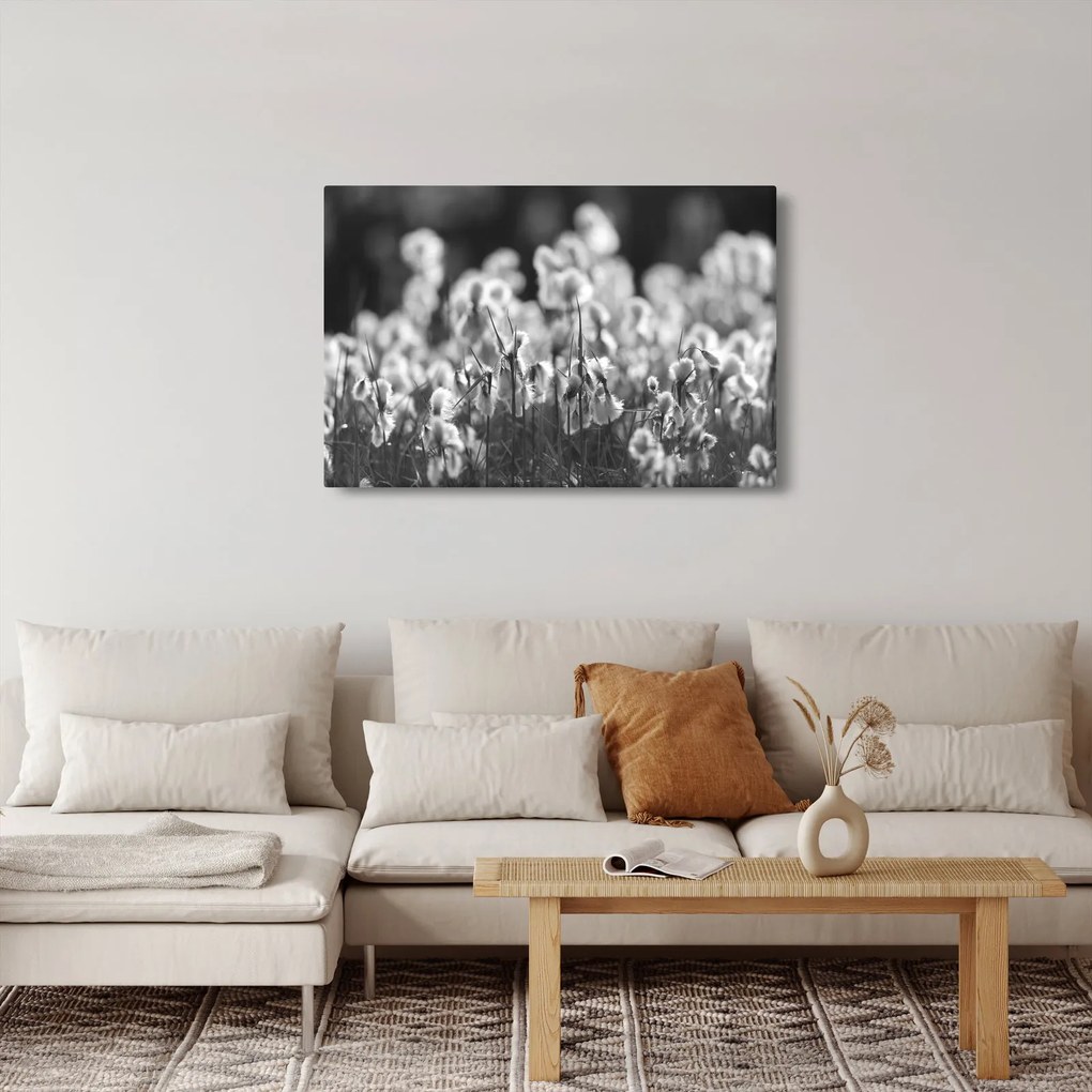 Obraz - Letná lúka (90x60 cm)