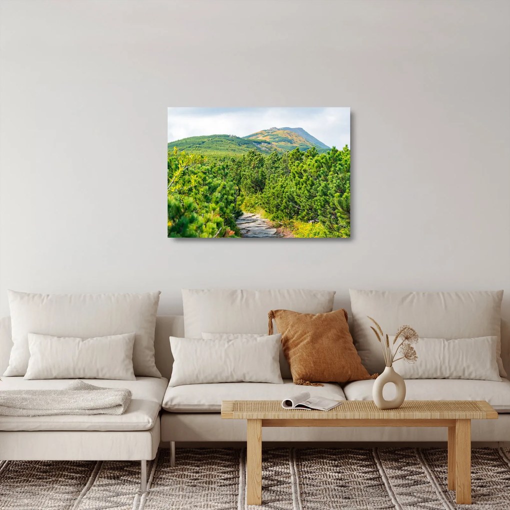 Sklenený obraz - Babi Hora, Poľsko (70x50 cm)