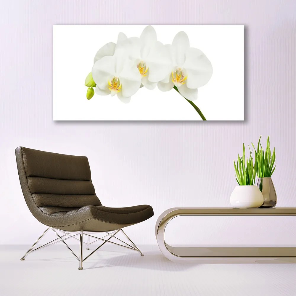 Obraz plexi Orchidea výhonky kvety príroda 120x60 cm